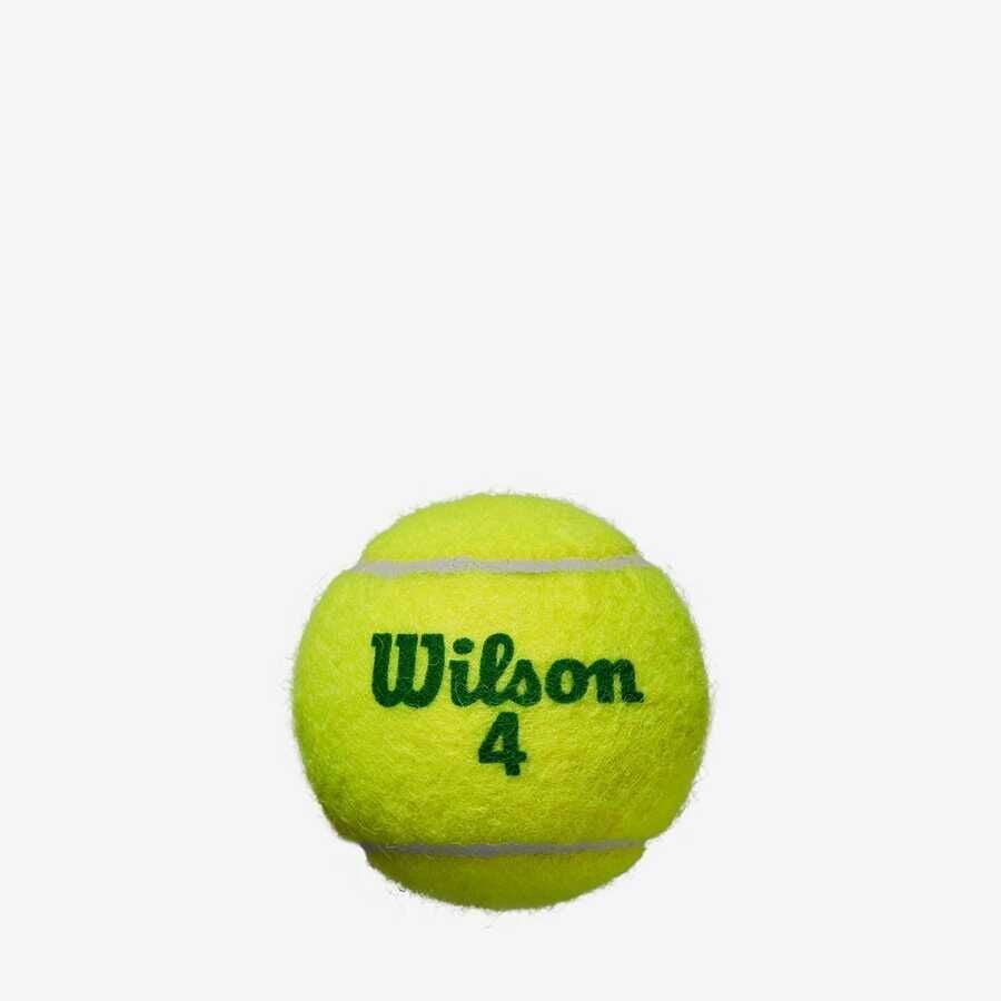 Wilson Tenis Topu Starter Green 4lü Çocuk 18 li Kutu Box