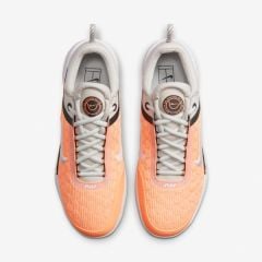 Nikecourt Zoom Nxt