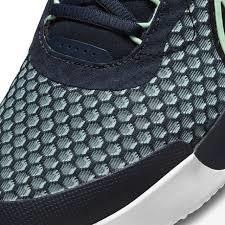 Nike Zoom Court Pro